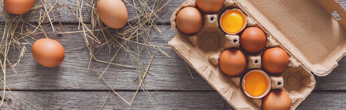 5 razones para consumir huevo diariamente