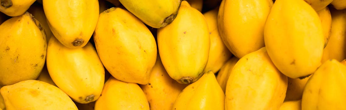 La papaya: Además de anticancerígeno natural y deliciosa!