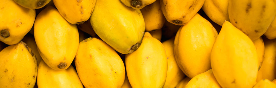 La papaya y sus semillas aportan beneficios maravillosos a la salud