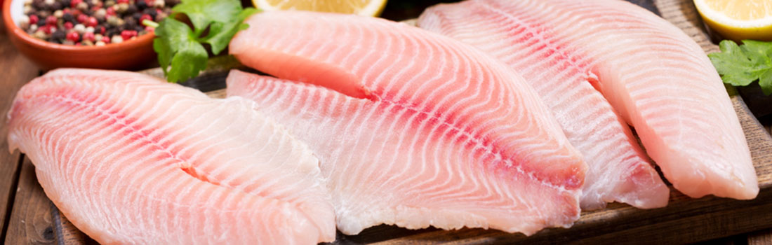 Cinco puntos claves para determinar si tu pescado está fresco