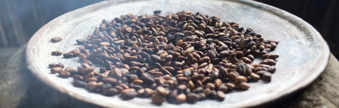Variedades de café cultivados en México ¡Conócelos todos!