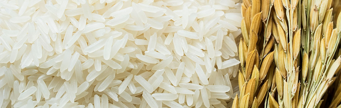 5 errores comunes que cometemos al cocinar arroz