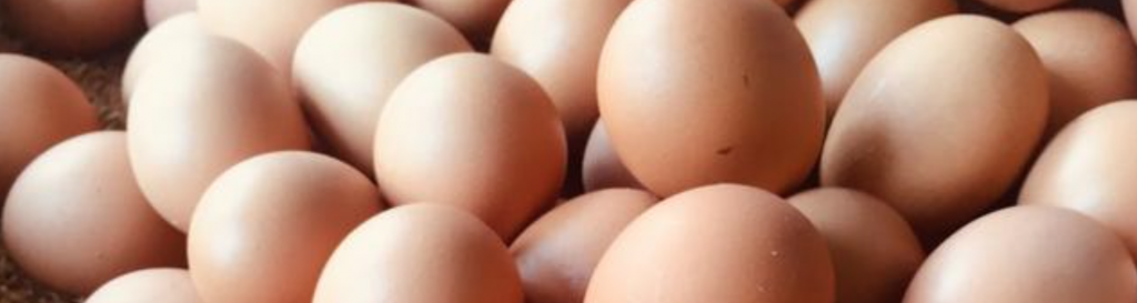 La importancia de comer huevos ¿Sabes las razones?