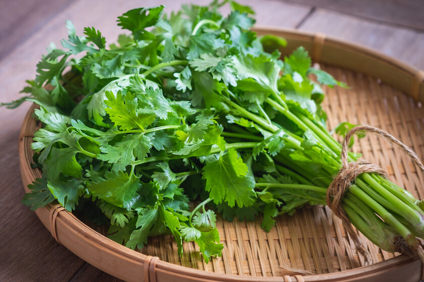 ¿En qué momento debes incorporar el cilantro y otras hierbas?